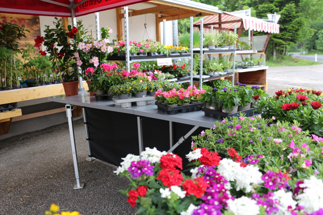 Verkaufszelt mit Theke zur Präsentation von bunten Blumen