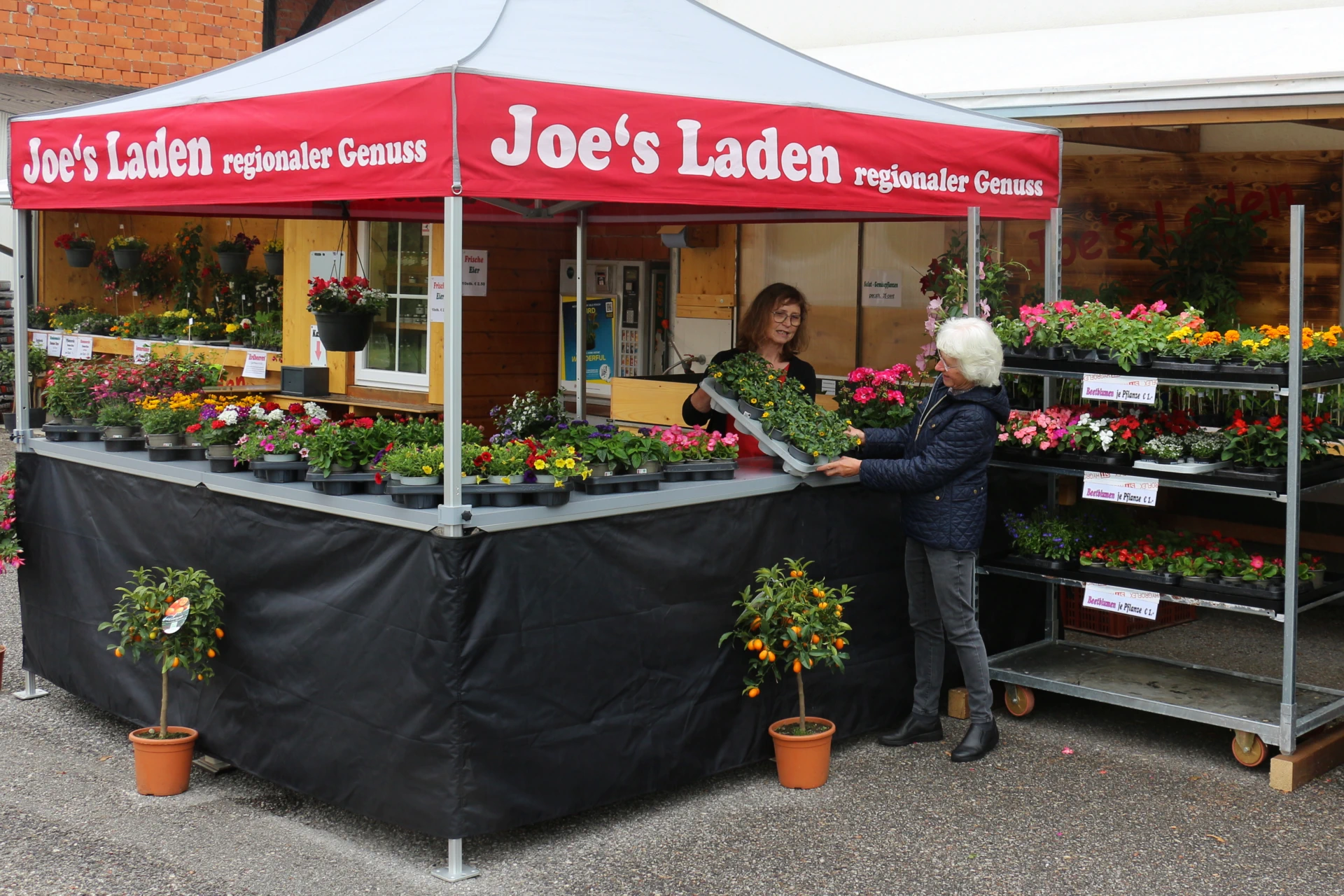 Faltzelt Thekensystem Joe´s Laden