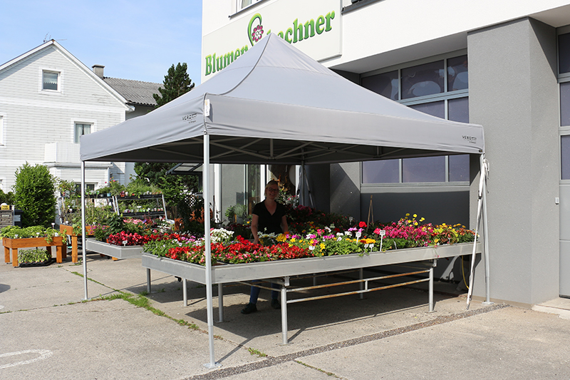 Faltzelt 4x4 Blumen Schachner