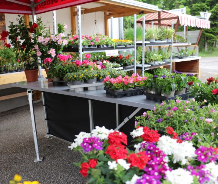 VeroTENT Thekensystem am Faltzelt: Arbeitsplatte mit Pflanzen bei Joe's Laden