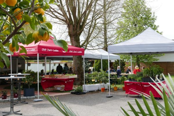 Verkaufszelte 3x3 Joe’s Laden mit Theke