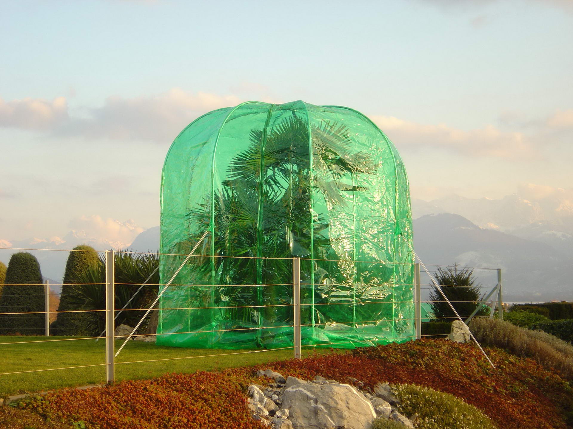 Pflanzenzelt 3 x 2,75 m